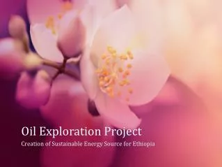 Oil Exploration Project