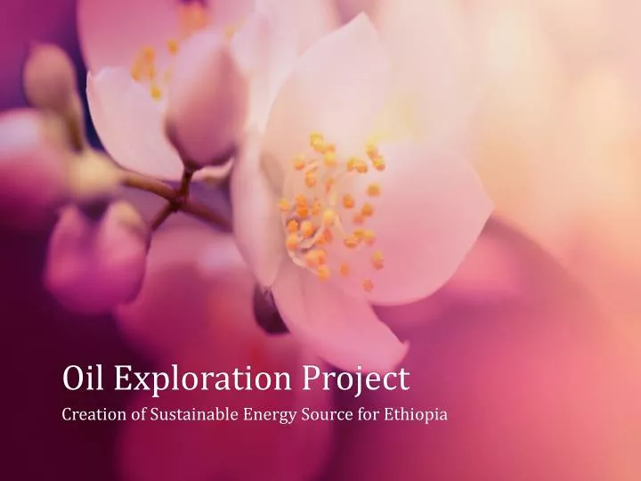 oil exploration project
