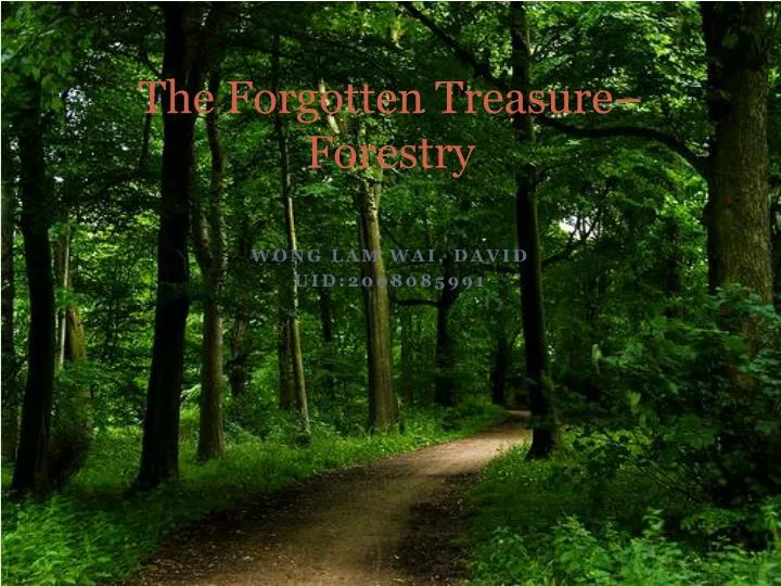 the forgotten treasure forestry