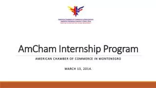 AmCham Internship Program