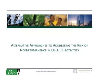 Alternative Approaches to Addressing the Risk of Non-permanence in LULUCF Activities