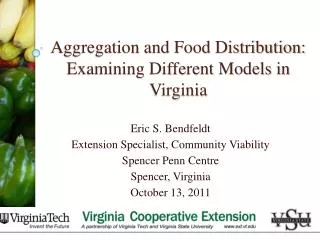 Aggregation and Food Distribution: Examining Different Models in Virginia