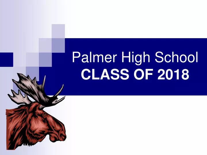 palmer high school class of 2018