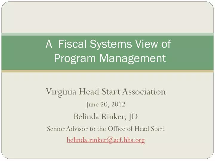 a fiscal systems view of program management