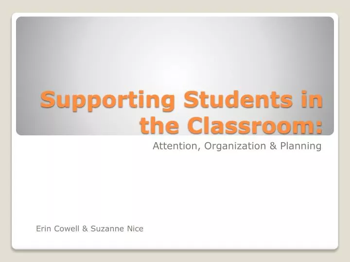 supporting students in the classroom