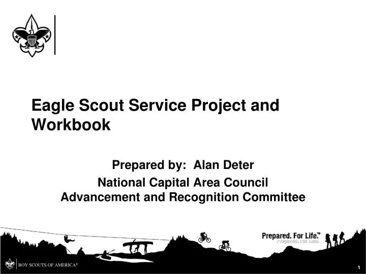 eagle scout service project and workbook