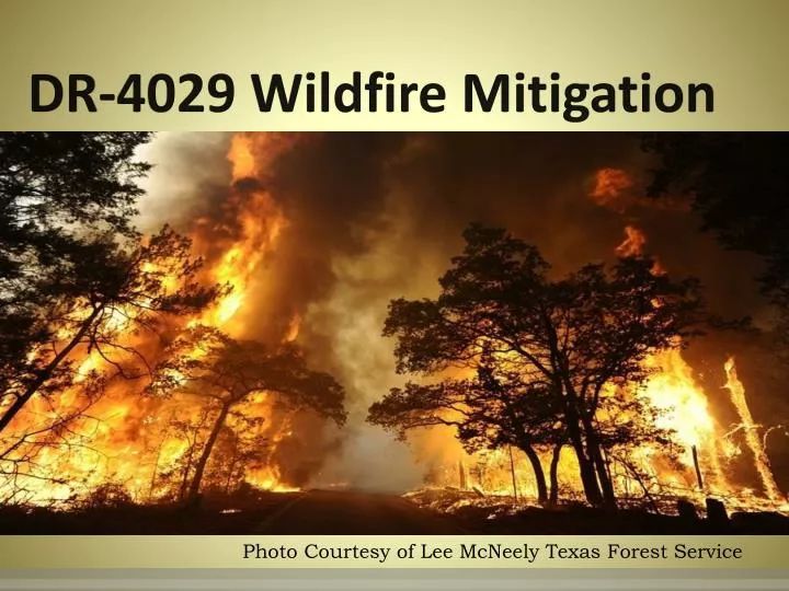 dr 4029 wildfire mitigation