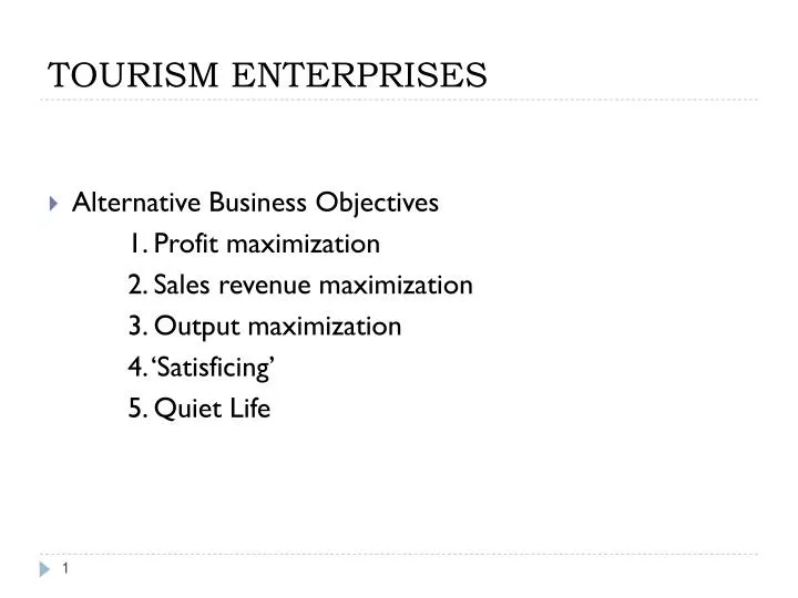 tourism enterprises