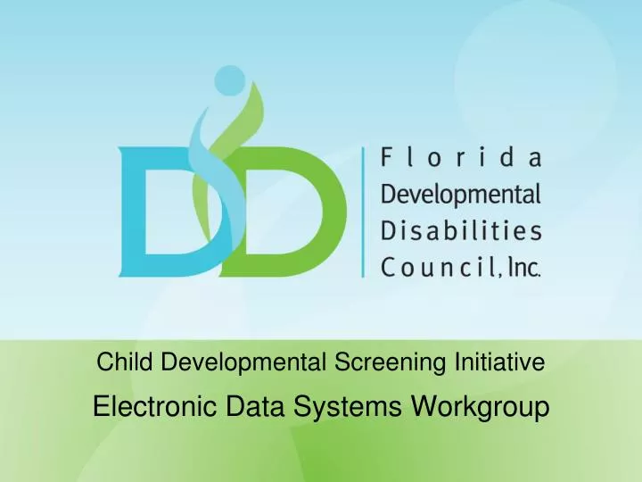 child developmental screening initiative electronic data systems workgroup