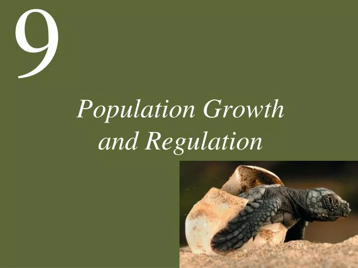 population growth and regulation