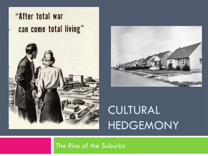 cultural hedgemony