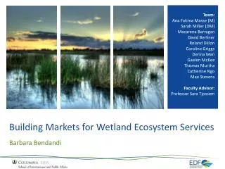 Building Markets for Wetland Ecosystem Services