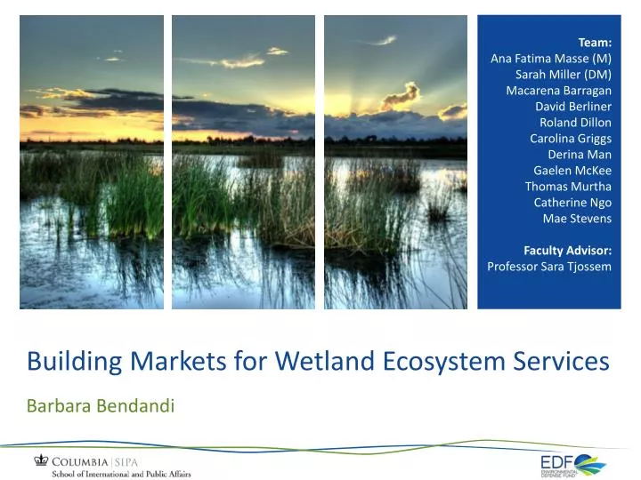 building markets for wetland ecosystem services
