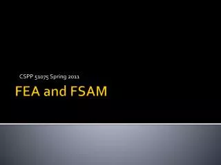 FEA and FSAM