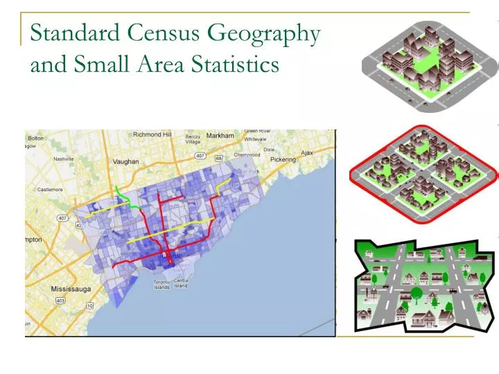 standard census geography and small area statistics