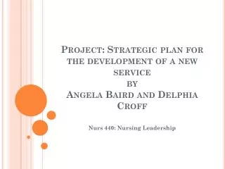 Project: Strategic plan for the development of a new service by Angela Baird and Delphia Croff