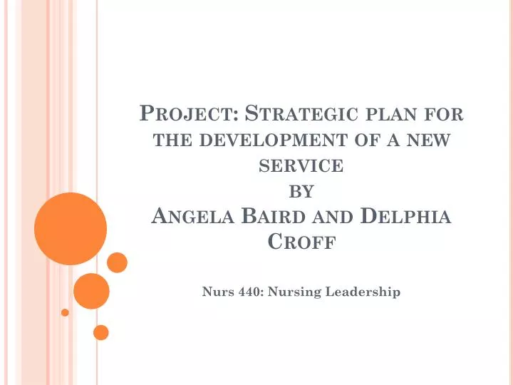 project strategic plan for the development of a new service by angela baird and delphia croff
