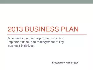 2013 business Plan
