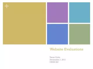 Website Evaluations
