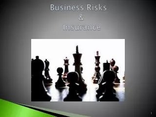 Business Risks &amp; Insurance