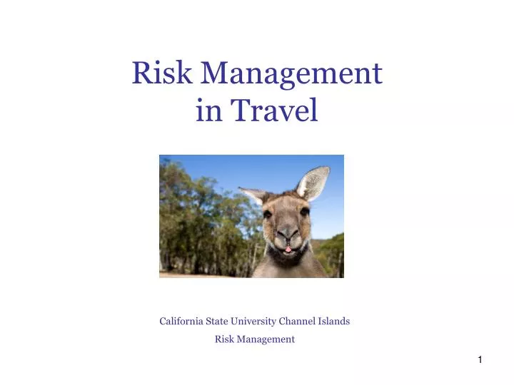 r isk management in travel
