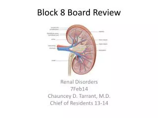 Block 8 Board Review