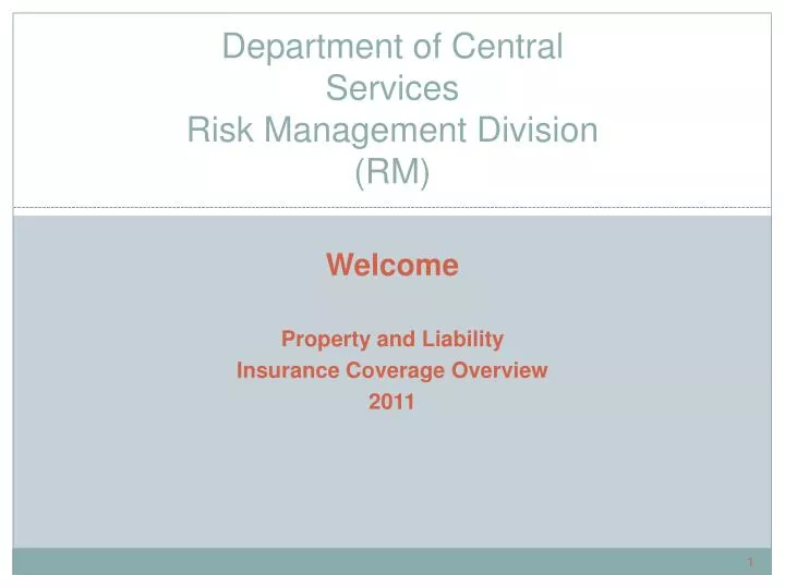 department of central services risk management division rm