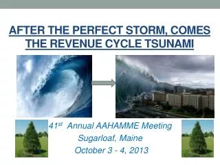 After the Perfect Storm, comes The Revenue Cycle tsunami