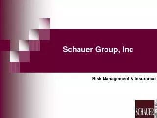 Schauer Group, Inc