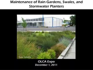 Maintenance of Rain Gardens, Swales, and Stormwater Planters