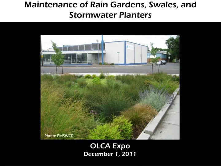 maintenance of rain gardens swales and stormwater planters