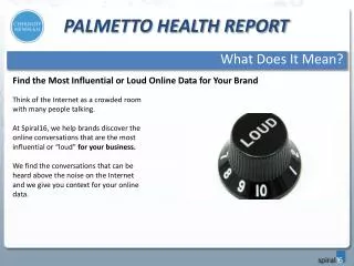 Palmetto Health Report