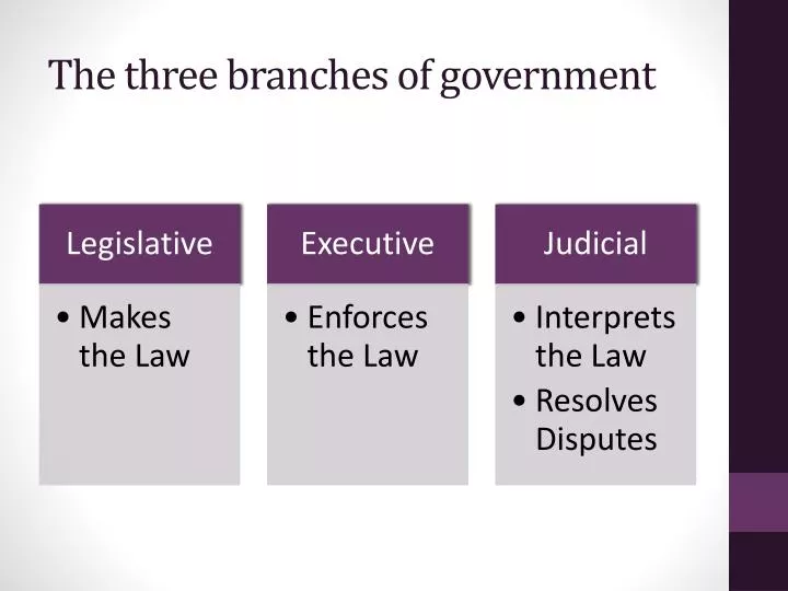 the three b ranches of government