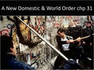 A New Domestic &amp; World Order chp 31