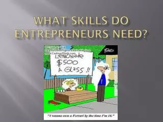 What Skills do entrepreneurs need?