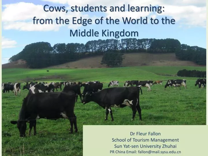 cows students and learning from the edge of the world to the middle kingdom