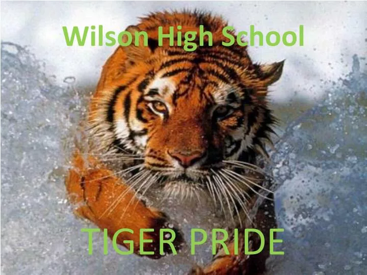 wilson high school