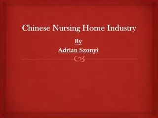 Chinese Nursing Home Industry