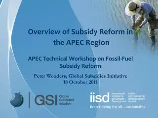 Overview of Subsidy Reform in the APEC Region APEC Technical Workshop on Fossil-Fuel Subsidy Reform
