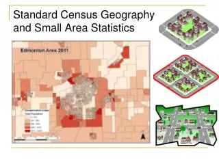 Standard Census Geography and Small Area Statistics