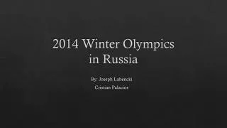 2014 Winter Olympics in Russia