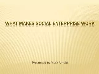 WHAT MAKES SOCIAL ENTERPRISE WORK