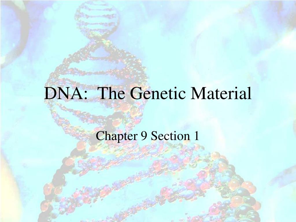 PPT - DNA: The Genetic Material PowerPoint Presentation, free download ...