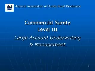 National Association of Surety Bond Producers