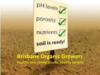 Brisbane Organic Growers Healthy soil, strong plants, healthy people