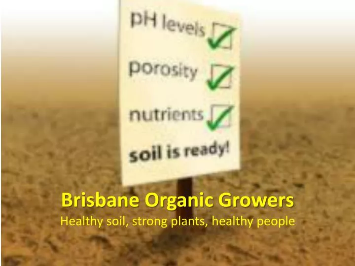 brisbane organic growers healthy soil strong plants healthy people