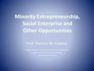 Minority Entrepreneurship, Social Enterprise and Other Opportunities