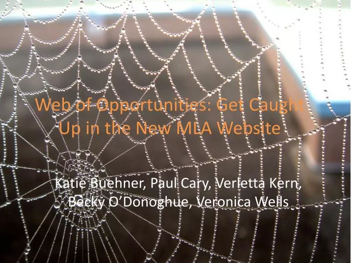 web of opportunities get caught up in the new mla website