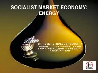 SOCIALIST MARKET ECONOMY: ENERGY