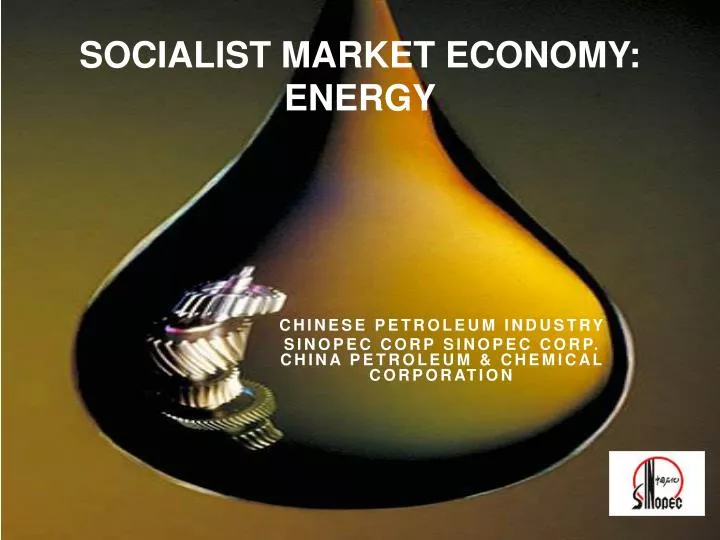 socialist market economy energy